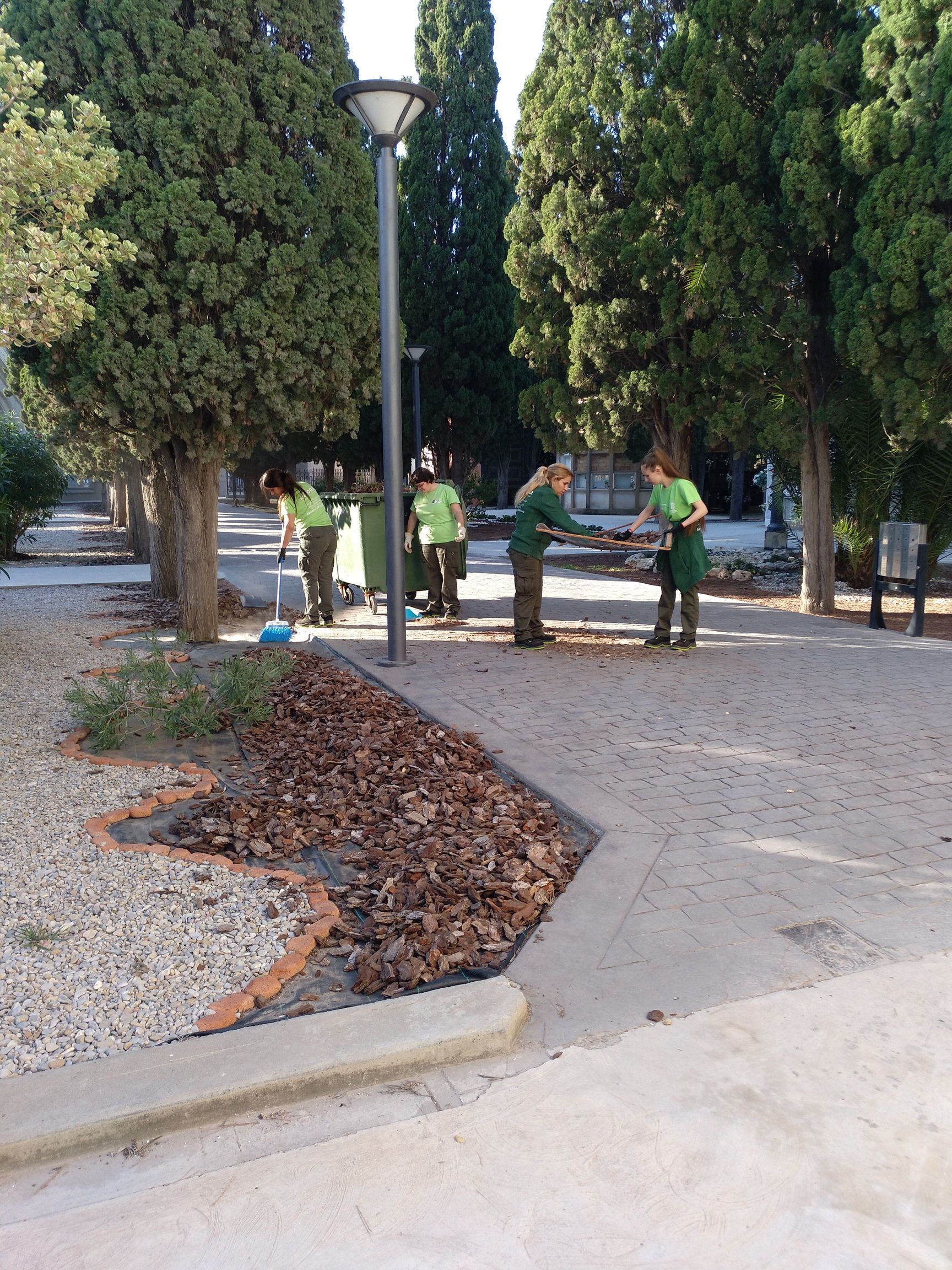 Treballant a la zona de pràctiques netejant  l’encoixinament d'escorça de pi.