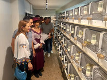 canaricultura3.jpg