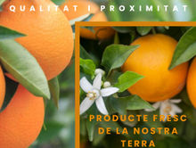 mercat de la taronja.jpeg