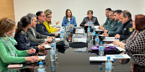 junta local seguridad mayo 2024.jpg