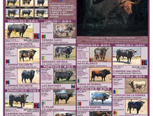 CARTEL-TOROS-A4-2024-3_page-0001.jpg