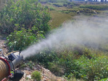 TRATAMIENTO MOSQUITOS.jfif