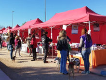 feria adopción 2023.jpg
