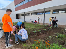 aula natura ecosistema del suelo.jpg