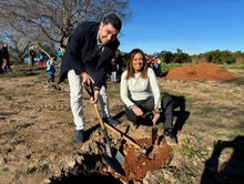 día del arbol.jpg