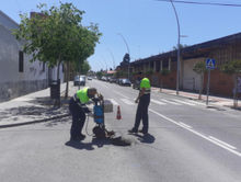san jaime plagas.jpg