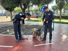 undiad canina2.jpg