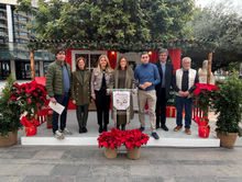 programación navideña.jpg