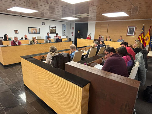 pleno de diciembre.jpg