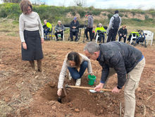día del árbol 2026 7