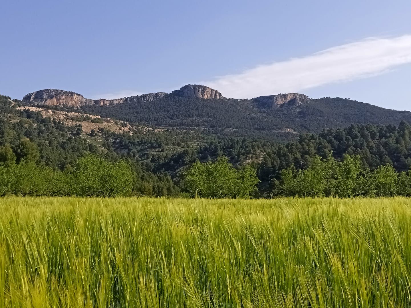 Foto panoramico Higueruelas.jpg