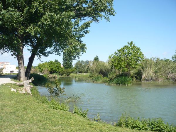 Río Turia Quart de Poblet