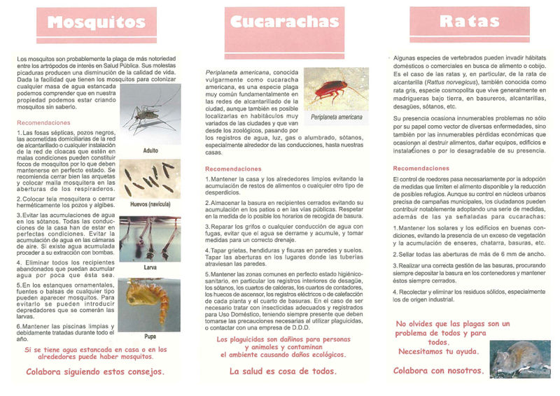 consejos-plagas.jpeg