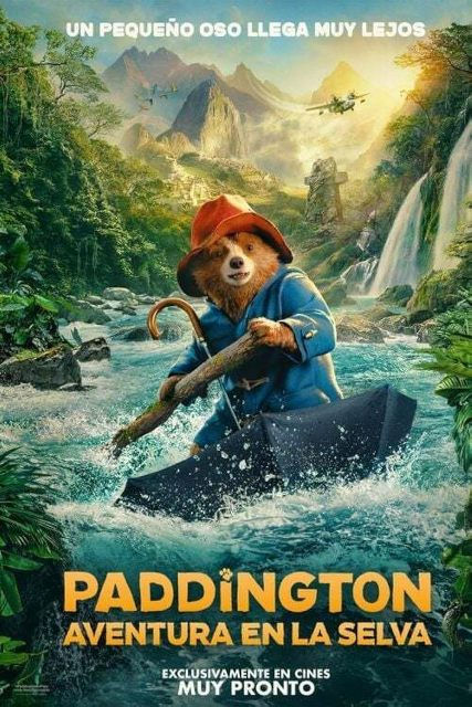 paddintong.jpg