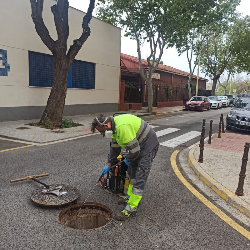 Un operario trabaja en la fumigación ante la llegada de las altas temperaturas.jpg