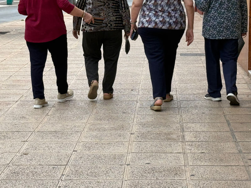 Los grupos tendrán un máximo de 20 personas y recorrerán distintos itinerarios de baja dificultad.jpeg