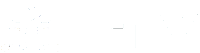 Logo Digital Value Zity